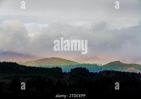 A faint rainbow glows along a low forested ridge under thick gray clouds, with dark conifers filling the foreground in Oregon. Stock Photo