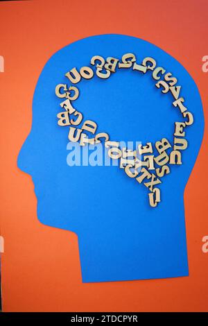 Diagram showing the human brain using a wooden panel Stock Photo