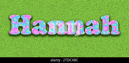 Name Hannah, one of the ten most popular girls' first names in Germany in 2023 with pink and light blue flowers as a graphic Stock Photo