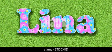Name Lina, one of the ten most popular girls' first names in Germany in 2023 with pink and light blue flowers as a graphic Stock Photo