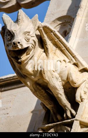 gargola en forma de dragon, Lonja de Palma de Mallorca ,  Sa Llotja, antigua sede del Colegio de Mercaderes, Monumento histórico-artístico, construida Stock Photo