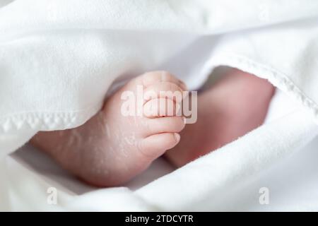 Newborn baby's feet under blanket Stock Photo