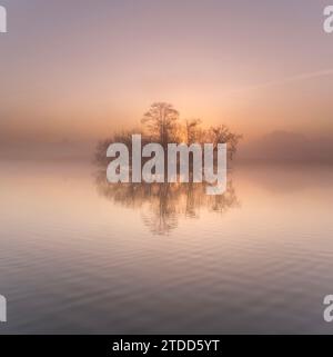 Island in Richmond Park's lower Pen Pond UK ENCHANTING pictures of Richmond Park?s stunning waters and rich wildlife were captured last week up to as Stock Photo