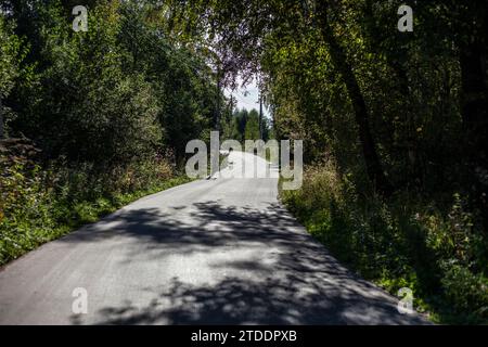 Empty road in summer. Rural road in sunlight. Track outside the city. Stock Photo