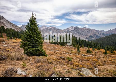 Fall landscape in the Collegiate Wilderness, Colorado Stock Photo