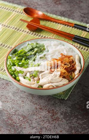 Asian chicken noodle soup with fried onions, green onions and cilantro close-up in a bowl on the table. Vertical Stock Photo