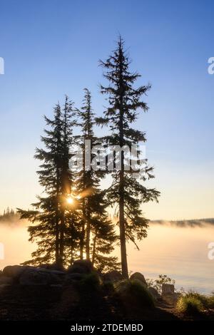 Douglas fir trees and fog over Big Lake at sunrise; Cascade Mountains, Oregon. Stock Photo