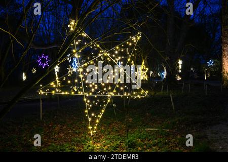 HELIGAN CHRISTMAS LIGHTS HELIGAN NIGHT GARDEN LOST GARDENS OF HELIGAN Stock Photo