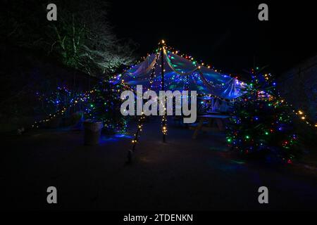 HELIGAN CHRISTMAS LIGHTS HELIGAN NIGHT GARDEN LOST GARDENS OF HELIGAN Stock Photo