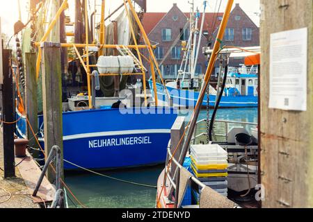 Colorful traditional old german fishing cutter boats moored