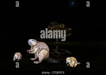 HELIGAN CHRISTMAS LIGHTS HELIGAN NIGHT GARDEN LOST GARDENS OF HELIGAN Stock Photo