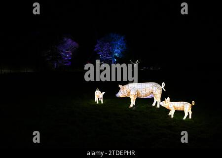 HELIGAN CHRISTMAS LIGHTS HELIGAN NIGHT GARDEN LOST GARDENS OF HELIGAN Stock Photo