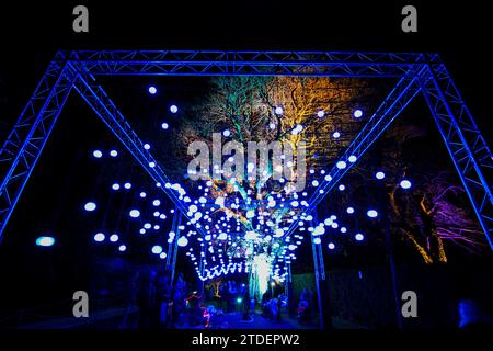 HELIGAN CHRISTMAS LIGHTS HELIGAN NIGHT GARDEN LOST GARDENS OF HELIGAN Stock Photo