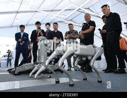 Hefei, China's Anhui Province. 24th Oct, 2023. People look at robots during the 6th World Voice Expo in Hefei, east China's Anhui Province, Oct. 24, 2023. Credit: Zhou Mu/Xinhua/Alamy Live News Stock Photo