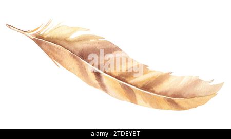 Pale brown, beige feather isolated on white background, watercolor hand drawn illustration. For decoration, cards and textile prints. Stock Photo