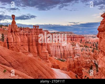 Red rock hoodoos in Bryce Canyon National Park, Utah, United States of America, North America Stock Photo