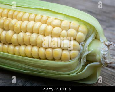 Close-up of an ear of corn on a rustic wooden unpainted tabletop Stock Photo
