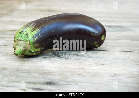 One fresh eggplant on an unpainted wooden rustic table Stock Photo