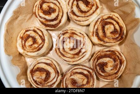 Fresh homemade raw Cinnamon rolls prepared for baking. Stock Photo