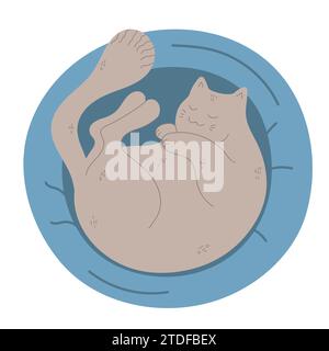 Cute hand drawn cat is sleeping in a cat bed. The cat is curled up in a pet cushion. Kitty asleep lying on a soft pillow. Vector illustration Stock Vector