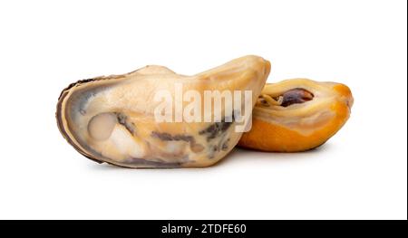 Steamed or cooked food of fresh beautiful green mussels in stack without shells are isolated on white background with clipping path. Stock Photo