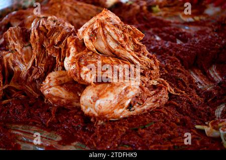 At the end of November 2021, they are making kimchi in Gyeongbuk, South Korea. (Kimchi is an old traditional food in Korea.) Stock Photo