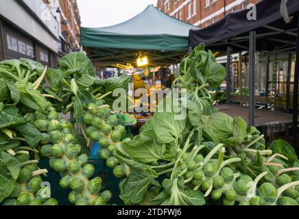 London, UK. 18th Jan, 2023. At a fruit and veg stall on Hildreth Street Brussels spouts on stalks are for sale. Credit: Anna Watson/Alamy Live News Stock Photo