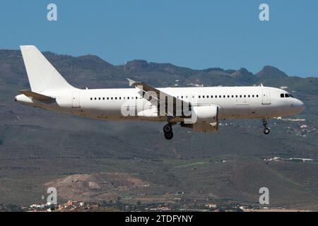 Airbus A320 airliner landing Stock Photo