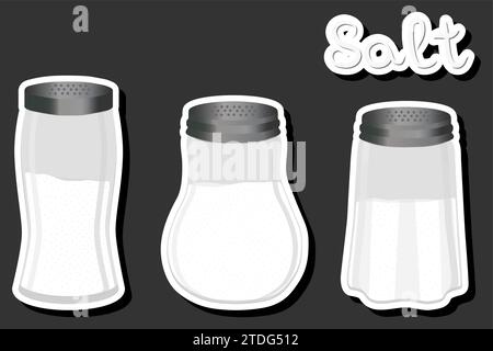 Illustration on theme big set different types ware filled salt for organic cooking, salt in shaker for restaurant menu Stock Vector