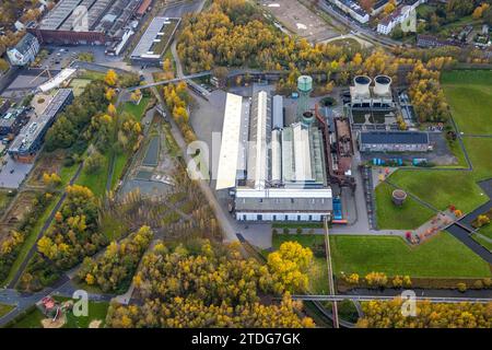 Aerial view, industrial monument Jahrhunderthalle event hall with water tower in Westpark, surrounded by autumnal deciduous trees, Kruppwerke, Bochum, Stock Photo