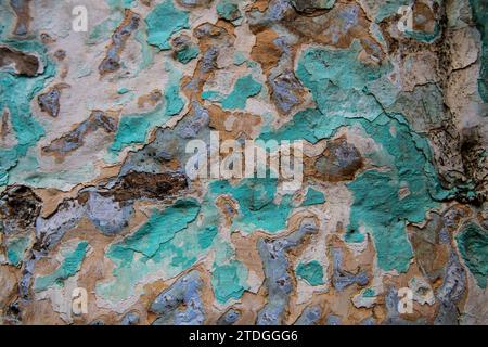 Abstract detail pattern of multi-colored peeling paint on an old stone exterior wall of a building in Jerusalem, Israel. Stock Photo