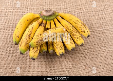 Bunch of yellow freckled bananas on a canvas texture Stock Photo