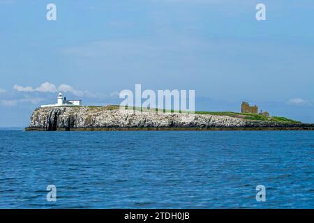 Brownsman Island  (Farne Islands) Stock Photo