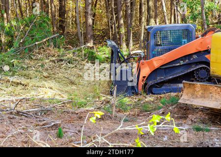 During clean forest contractor used tracked general purpose vehicles equipped with forestry mulchers Stock Photo