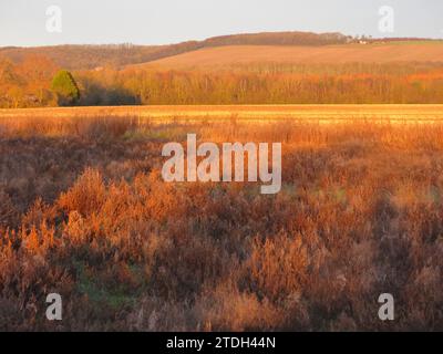 Yorkshire landscapes in winter: an orange glow over the fields & hills outside Pocklington as the sun sets on an afternoon in late December. Stock Photo