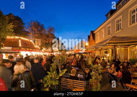 Autumn and wine festival in Altkoetzschenbroda Stock Photo