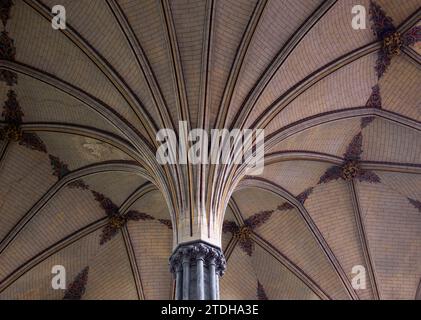 Ceiling of the Chapter house Salisbury cathedral where a copy of the Magna Carta is kept Stock Photo