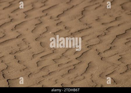 The mesmerizing dance of wind-sculpted sand, this photograph showcases the delicate beauty of nature's artwork in the tranquil embrace of the wind. Stock Photo
