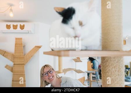 A family enjoy their time in an unusual cat cafe surrounded by cats. Stock Photo