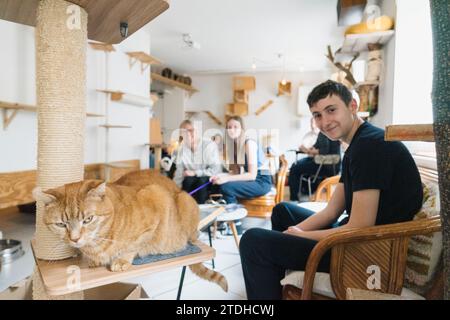 A family enjoy their time in an unusual cat cafe surrounded by cats. Stock Photo