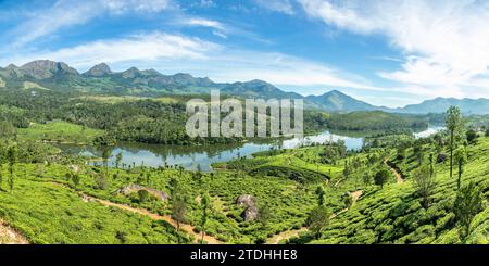 Green fields of tea plantations on the hills landscape and Anayirankal lake, Munnar, Kerala, south India Stock Photo