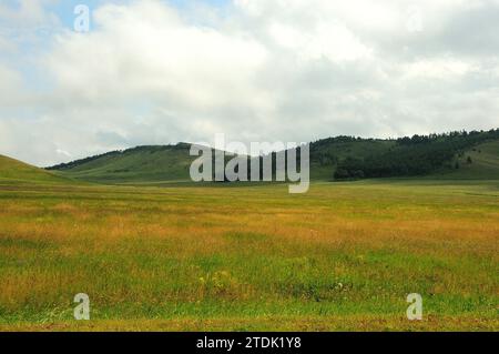 A flat vast pasture with yellowed grass on the edge of a crevice in a ridge of high hills with a sparse coniferous forest. Khakassia, Siberia, Russia. Stock Photo