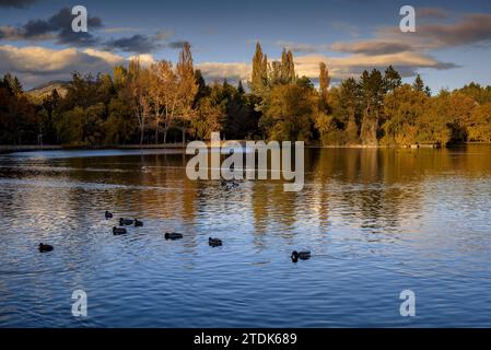 Autumn sunset at the Puigcerdà pond with some ducks and swans (Cerdanya, Girona, Catalonia, Spain, Pyrenees) ESP Atardecer otoñal en el lago Puigcerdà Stock Photo