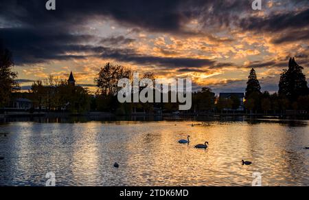 Autumn sunset at the Puigcerdà pond with some ducks and swans (Cerdanya, Girona, Catalonia, Spain, Pyrenees) ESP Atardecer otoñal en el lago Puigcerdà Stock Photo