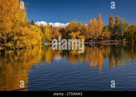 Puigcerdà pond in autumn with the change of color in the trees (Cerdanya, Girona, Catalonia, Spain, Pyrenees) ESP: Lago de Puigcerdà en otoño (Gerona) Stock Photo