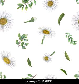 Seamless pattern with white daisies and green leaves. Meadow flowers, plants. Spring or summer ornate. Watercolor illustration isolated on white. Stock Photo