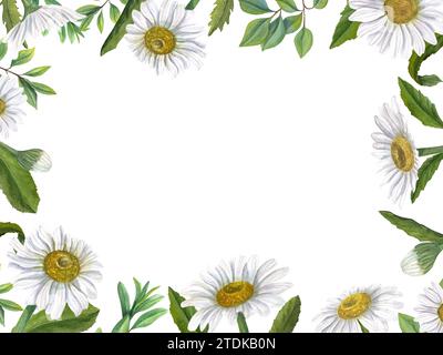 White field daisies with green plants. Flowers with yellow center. Rectangular horizontal frame with space for text. Watercolor illustration Stock Photo