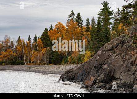 Trees with fall foliage along the rocky shoreline of Lake Superior on a stormy day. Photographed in Little Two Harbors in Split Rock Lighthouse State Stock Photo