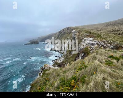 Loop hike on Campbell Island New Zealand 2023 Stock Photo