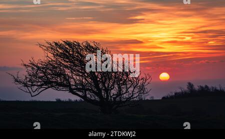 Winter sunrise over the east Sussex countryside from Combe Hilll Butts Brow Eastbourne east Sussex south east England Stock Photo